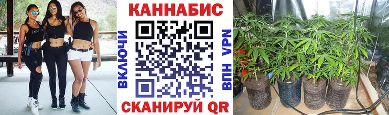 Купить Галлюциногенные грибы  Амфетамин  Гашиш  Марихуана  МЕФ  Alpha PVP  Видное