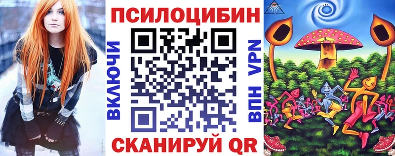 Купить где  Видное  Псилоцибиновые грибы Cubensis 